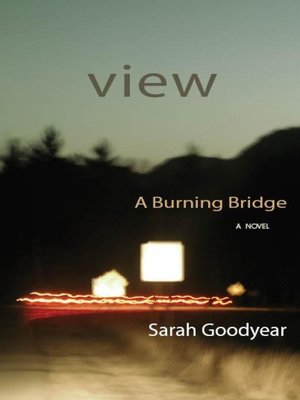 cover image of View From a Burning Bridge